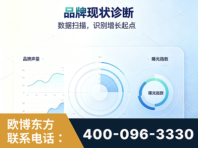 临湘-品牌现状诊断