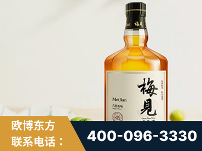 临湘-梅见青梅酒