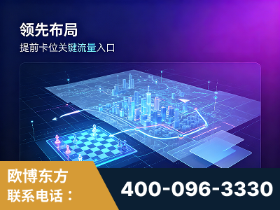 临湘-领先布局：于2024年初开启GEO业务的公司